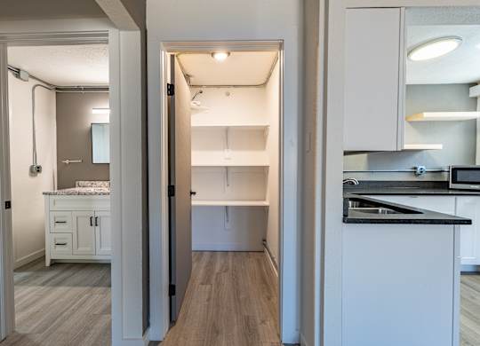 Modern Apartment Kitchen