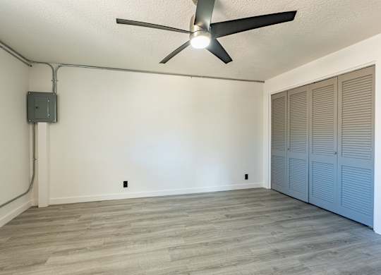 Comfortable Studio Interior