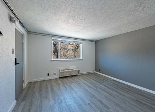 Cozy Studio Interior