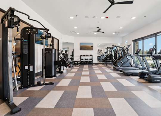 A gym with a variety of equipment including treadmills, stationary bikes, and weight machines.