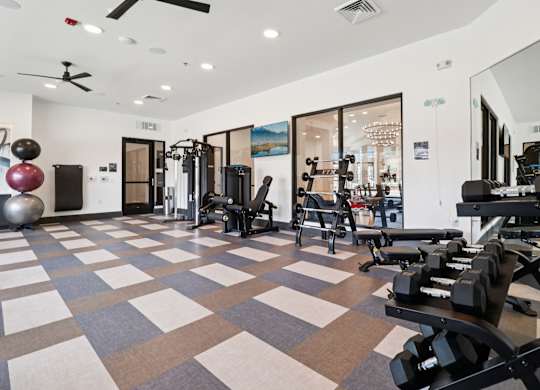 A gym with a variety of equipment including a squat rack, dumbbells, and a bench press.