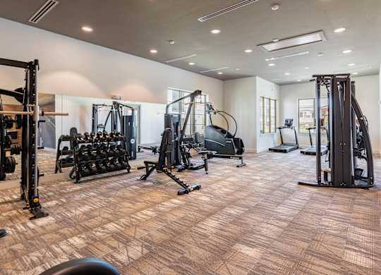A gym with a variety of equipment including a squat rack, a leg press machine, and a bench press.