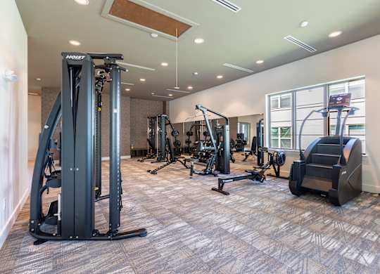 A gym with a variety of equipment including a treadmill, weights, and a bench press.