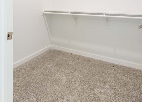 A white closet with a carpeted floor and white shelves.