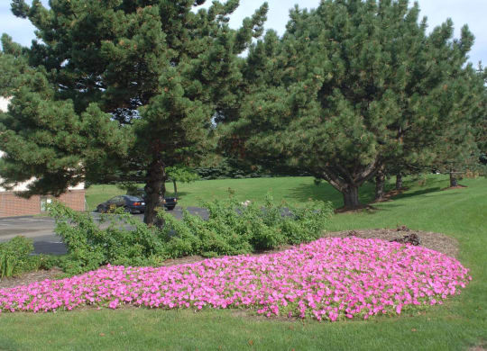 Beautiful Grounds