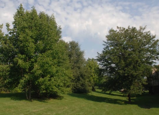 Beautiful Grounds