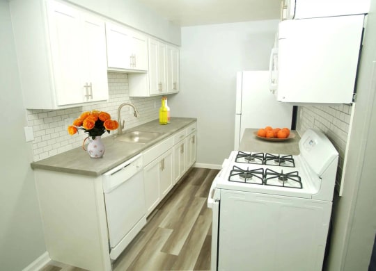 Kitchen - Premium Upgrade