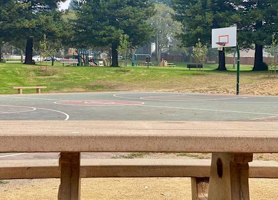Picnic & Sports Court at Westmont Place Townhomes Apartments, Santa Cruz, California