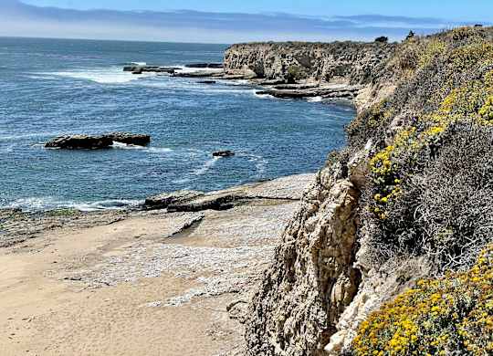 Natural Bridges Marine Reserve at Westmont Place Townhomes Apartments, Santa Cruz, CA, 95060