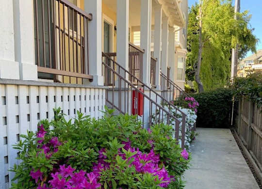 A white house with a red door and a white fence with purple flowers at Westmont Place Townhomes Apartments, Santa Cruz