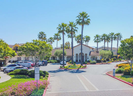 Street at Palm Court Apartments, Salinas, 93906