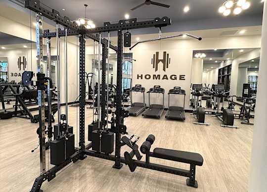 A gym with a variety of equipment including a squat rack, bench, and weights.