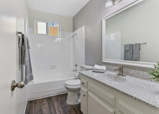 a bathroom with a toilet and a sink and a mirror
