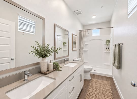 A bathroom with a sink, mirror, toilet, and a rug on the floor.