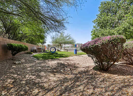 Dog park at Galeria del Rio