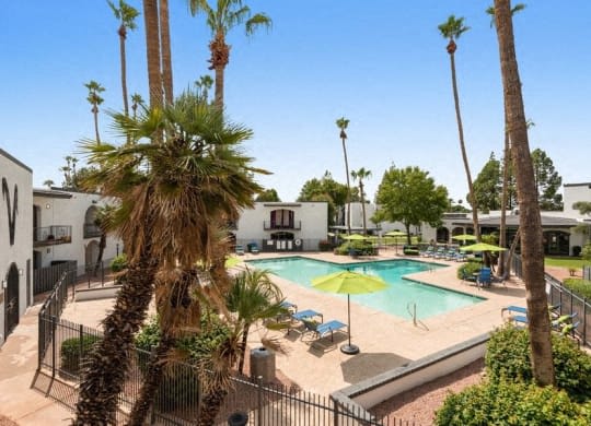 a swimming pool is surrounded by palm trees at Vertu, Phoenix, Arizona