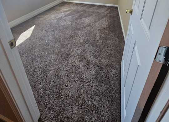 an empty bedroom with a carpeted floor and a window