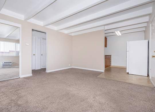an empty living room with a large mirror and a closet