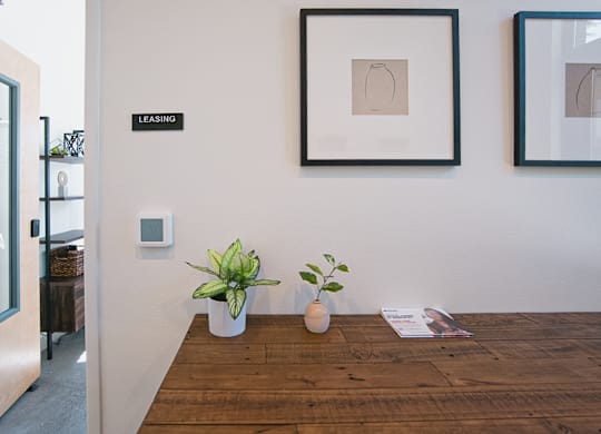 A leasing sign is on the wall above a framed picture.