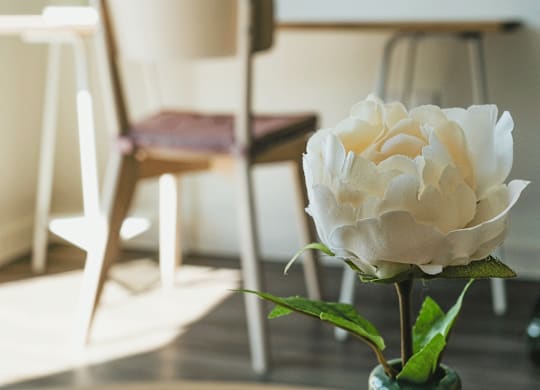 A white flower in a green vase sits on a table.