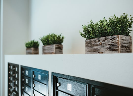 A row of black filing cabinets with green plants on top.
