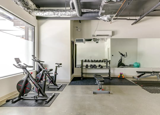 A gym with a row of stationary bikes, a bench, and a rack of dumbbells.