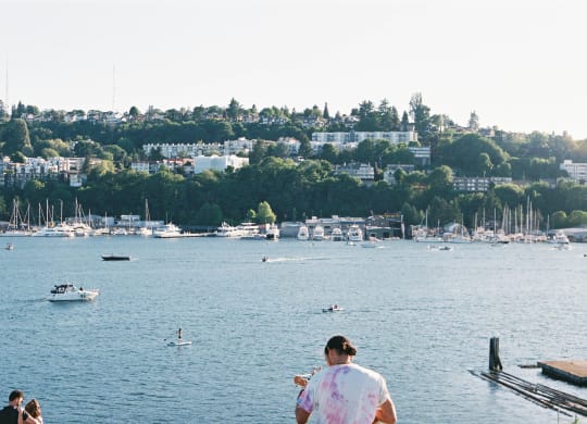 people standing on a dock overlooking a body of water with boats