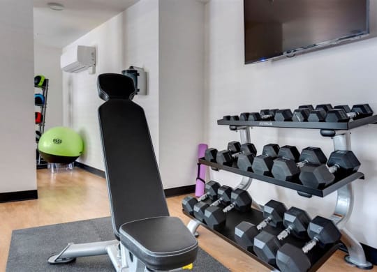 the gym has a large assortment of weights on a rack
