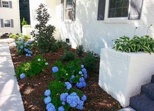 Garden Area at Midtown Park Townhomes, Raleigh, NC, 27609