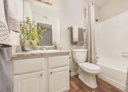 a bathroom with a toilet and a shower and a sink at Lodge of Overland Park Apartments, Overland Park , KS 66212