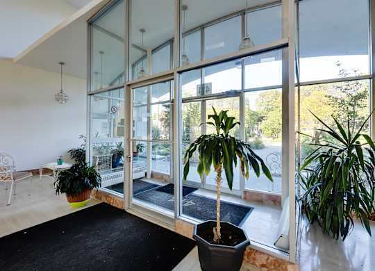 a living room with large windows and a black rug and potted plants