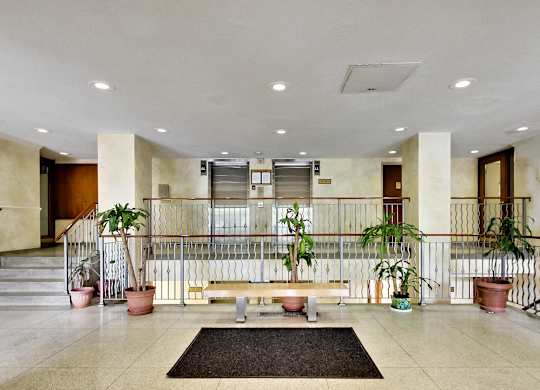 A hallway with a bench, potted plants, and a black mat on the floor.