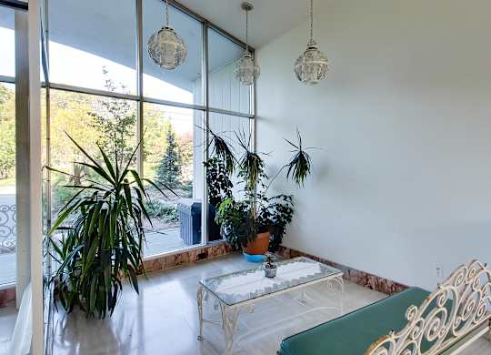 a living room with a large window and several potted plants
