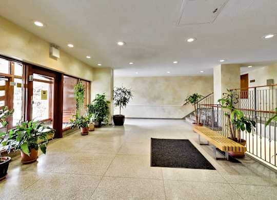 A hallway with a bench, potted plants, and a staircase.