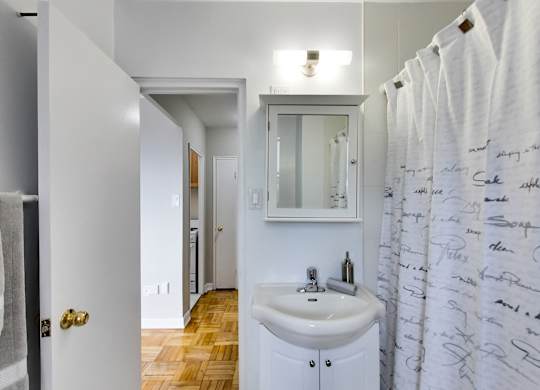 a bathroom with a sink and a shower curtain