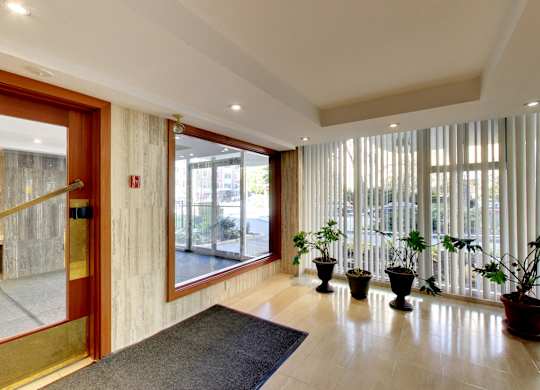 A hallway with a black rug and three potted plants.