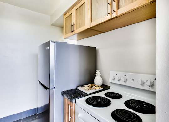 A kitchen with a stove and a refrigerator.