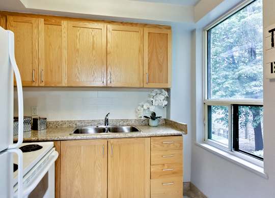 a kitchen with wooden cabinets and a sink and a window