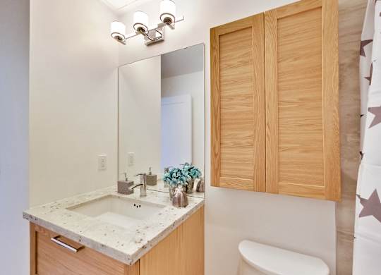a bathroom with a sink and a mirror and a toilet