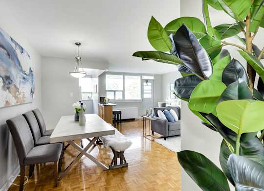 a living room with a dining room table and a large plant