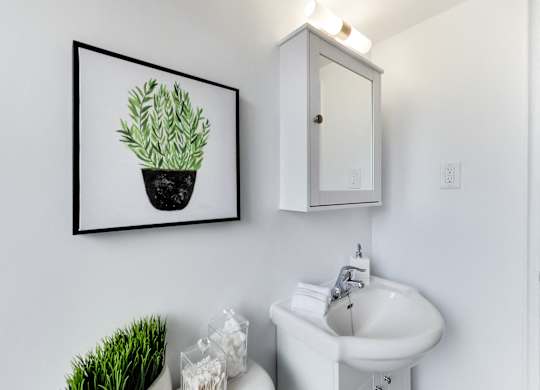 A bathroom with a white sink and a framed picture of a plant on the wall.