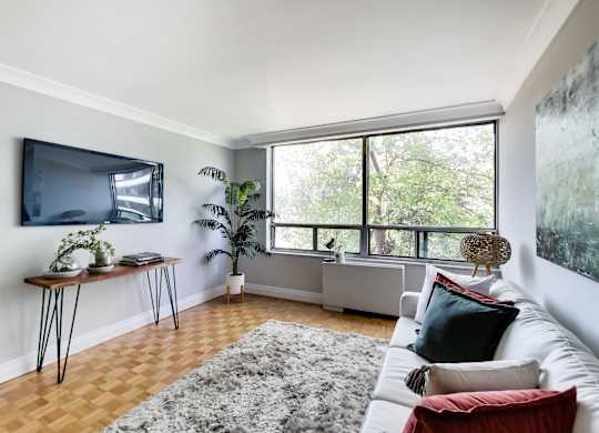 A living room with a white couch, a grey rug, a wooden floor, a TV, a window with a view of trees, and a plant.