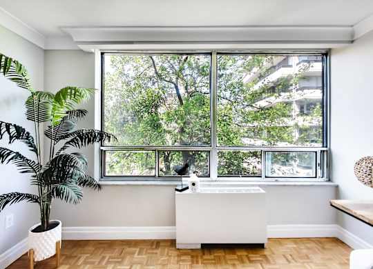 A bathroom with a large window and a plant.