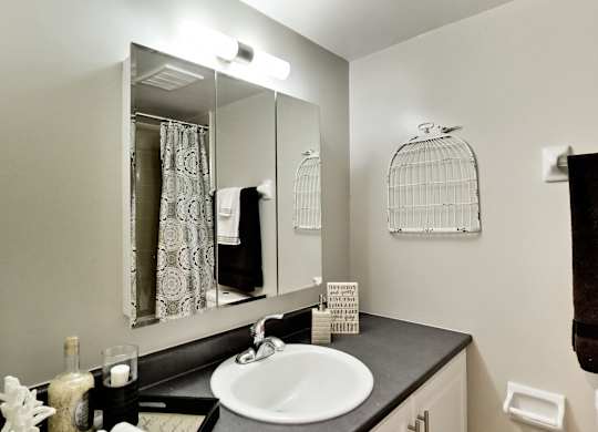 A bathroom with a sink, mirror, and a birdcage on the wall.