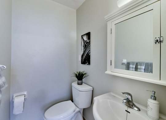 a bathroom with a sink toilet and a mirror