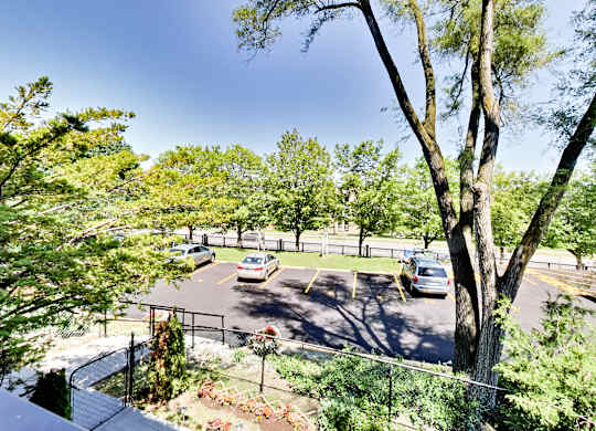 A parking lot with cars and trees.
