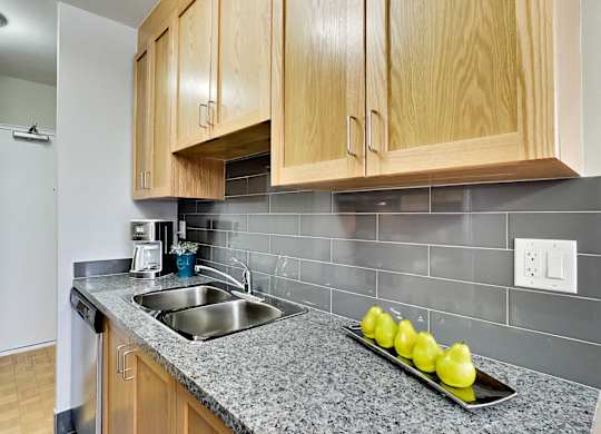 a kitchen with a sink and wooden cabinets