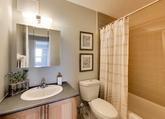 a bathroom with a shower toilet and sink and a mirror