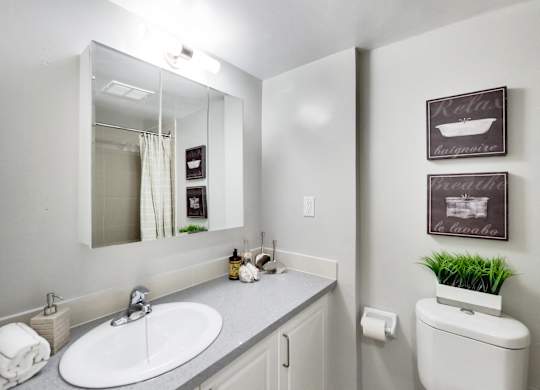 A bathroom with a white toilet and a sink with a mirror above it.