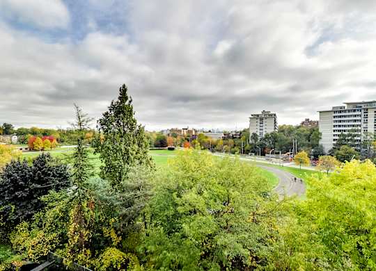 A view of a park with trees and buildings in the background.